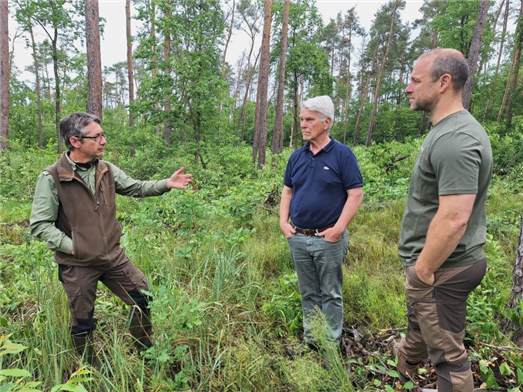 Gemeinsame Besprechung des Konzepts von BAUM in Brandenburg zwischen Förster (links), Waldeigentümer (Mitte) und Projektinitiator DEUTIM (rechts). © Rainer Kant