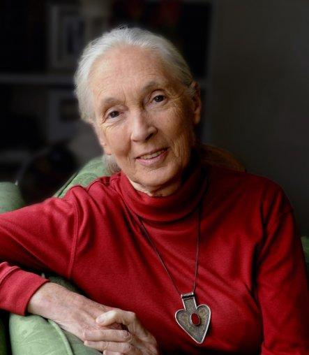 Jane Goodall, Ph.D., DBE - The Jane Goodall Institute