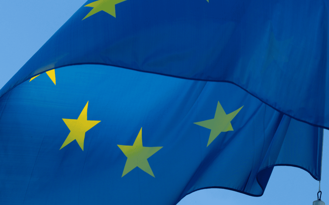 EU muss Kompass für nachhaltige Wettbewerbsfähigkeit bekräftigen