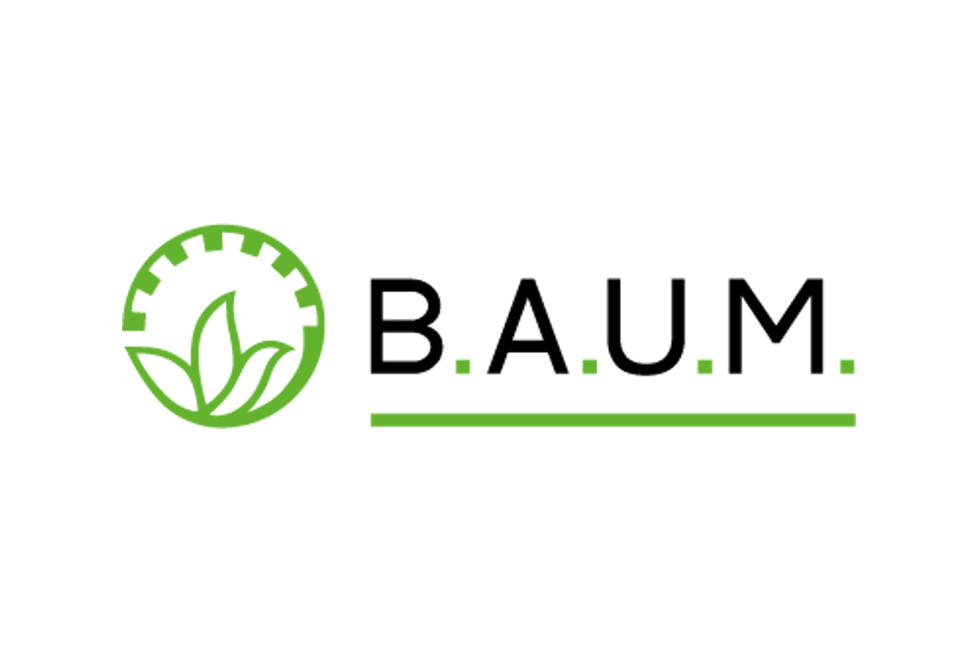 Logo B.A.U.M Consult