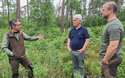 Kompass für die Entwicklung von Biodiversität und Dauerwaldstrukturen in deutschen Wäldern