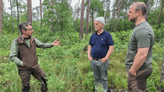 Kompass für die Entwicklung von Biodiversität und Dauerwaldstrukturen in deutschen Wäldern