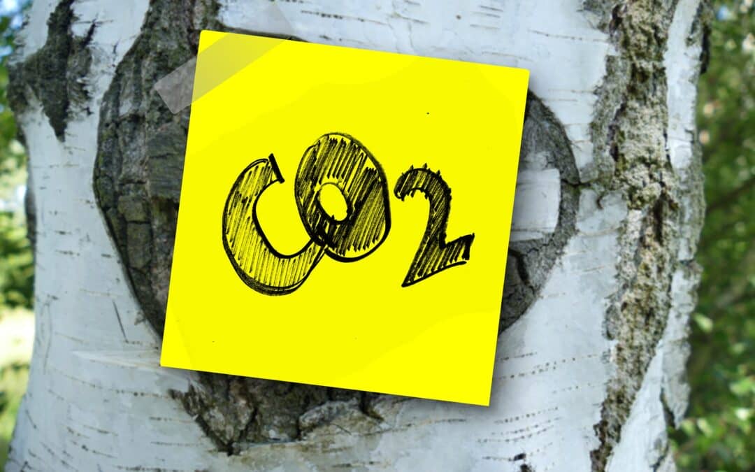 Expertinnen und Wissenschaftler: CO₂-Preise und- Anforderungen sind allein nicht ausreichend