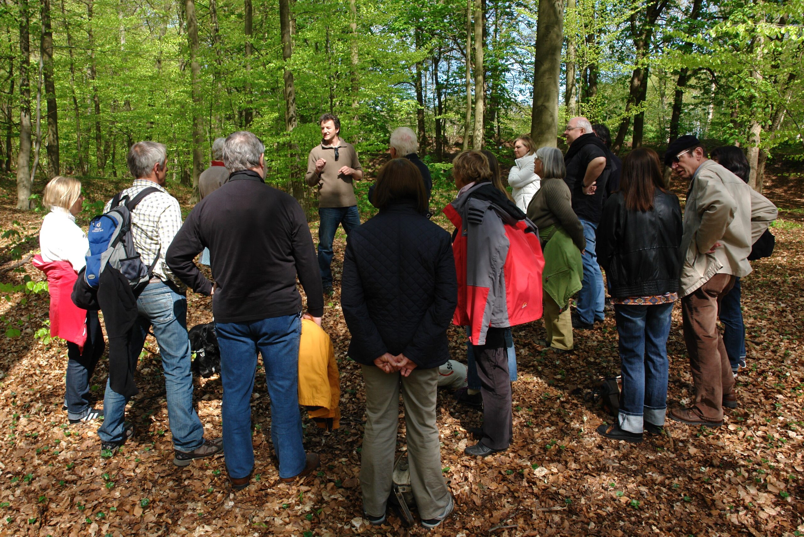 Menschen bei einer Waldführung