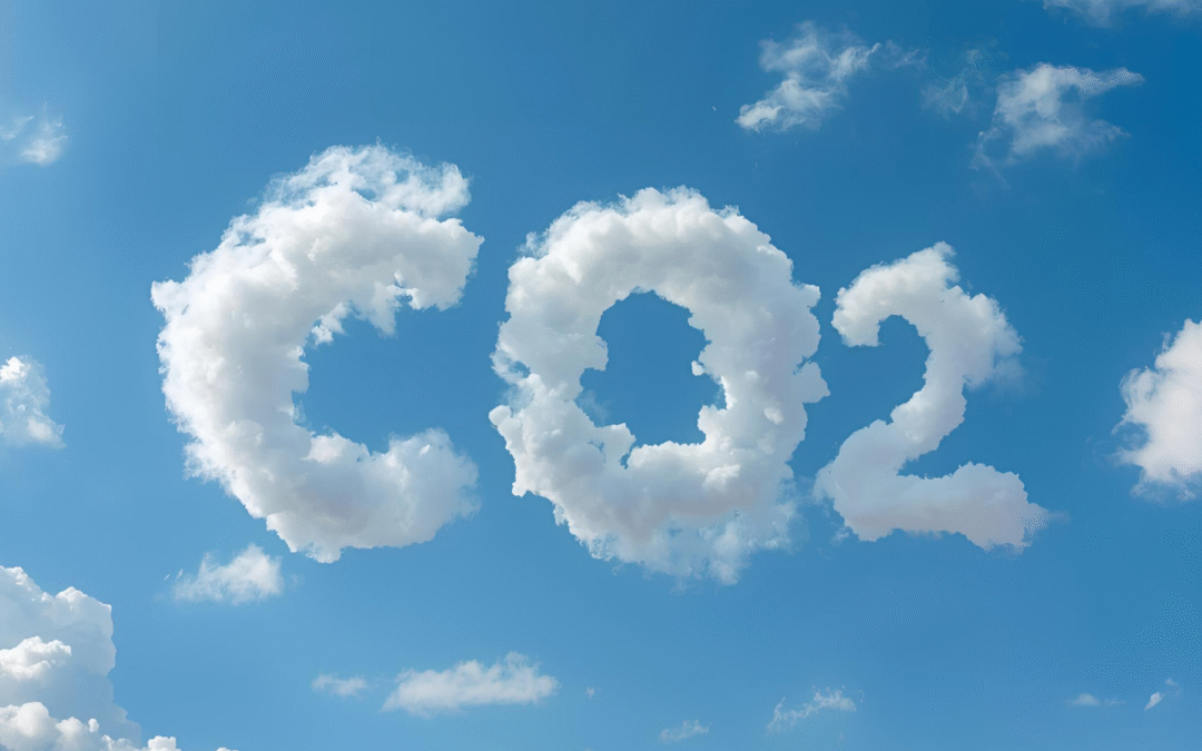 Insetting – Klimaschutz in der Lieferkette