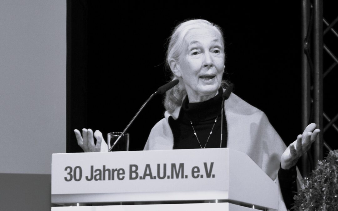 Jane Goodall: Forscherin, Visionärin, Wegbereiterin