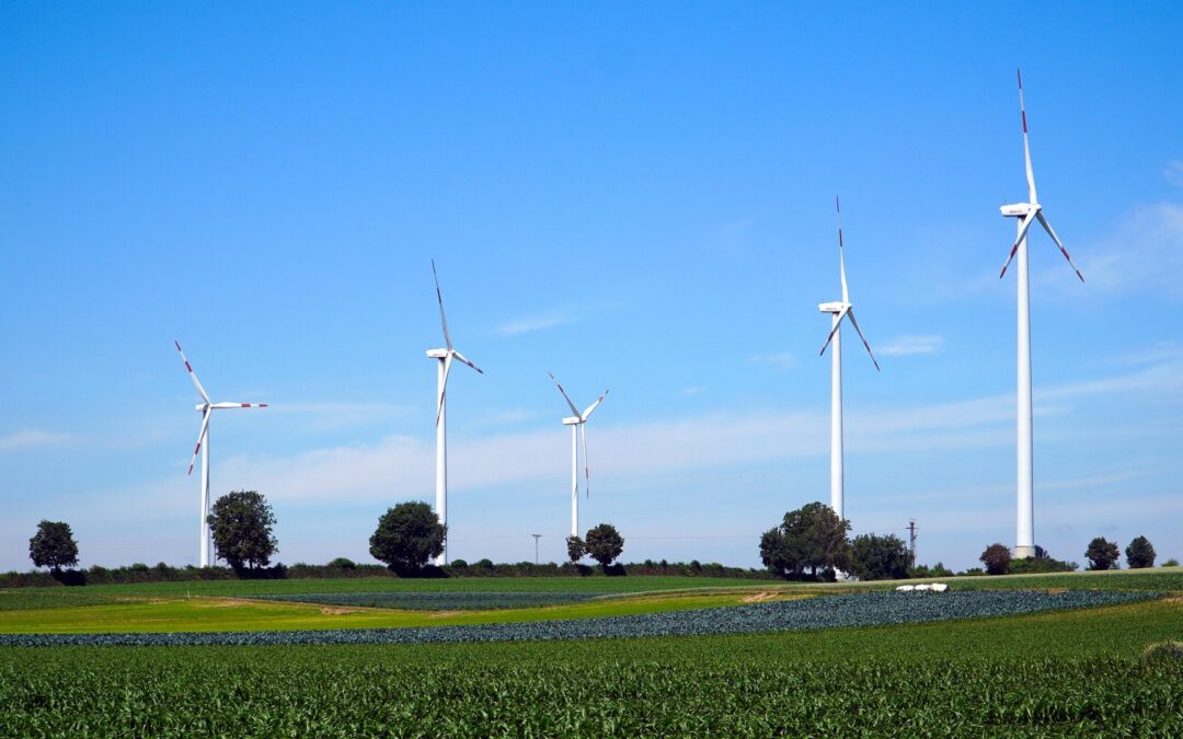 Von der Pflicht zur Kür: Was gutes Reporting aus Sicht erfahrener Nachhaltigkeits­-Analyst:innen auszeichnet