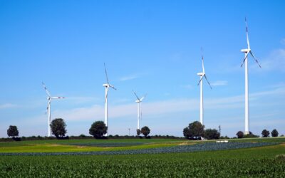 Von der Pflicht zur Kür: Was gutes Reporting aus Sicht erfahrener Nachhaltigkeits-Analyst:innen auszeichnet