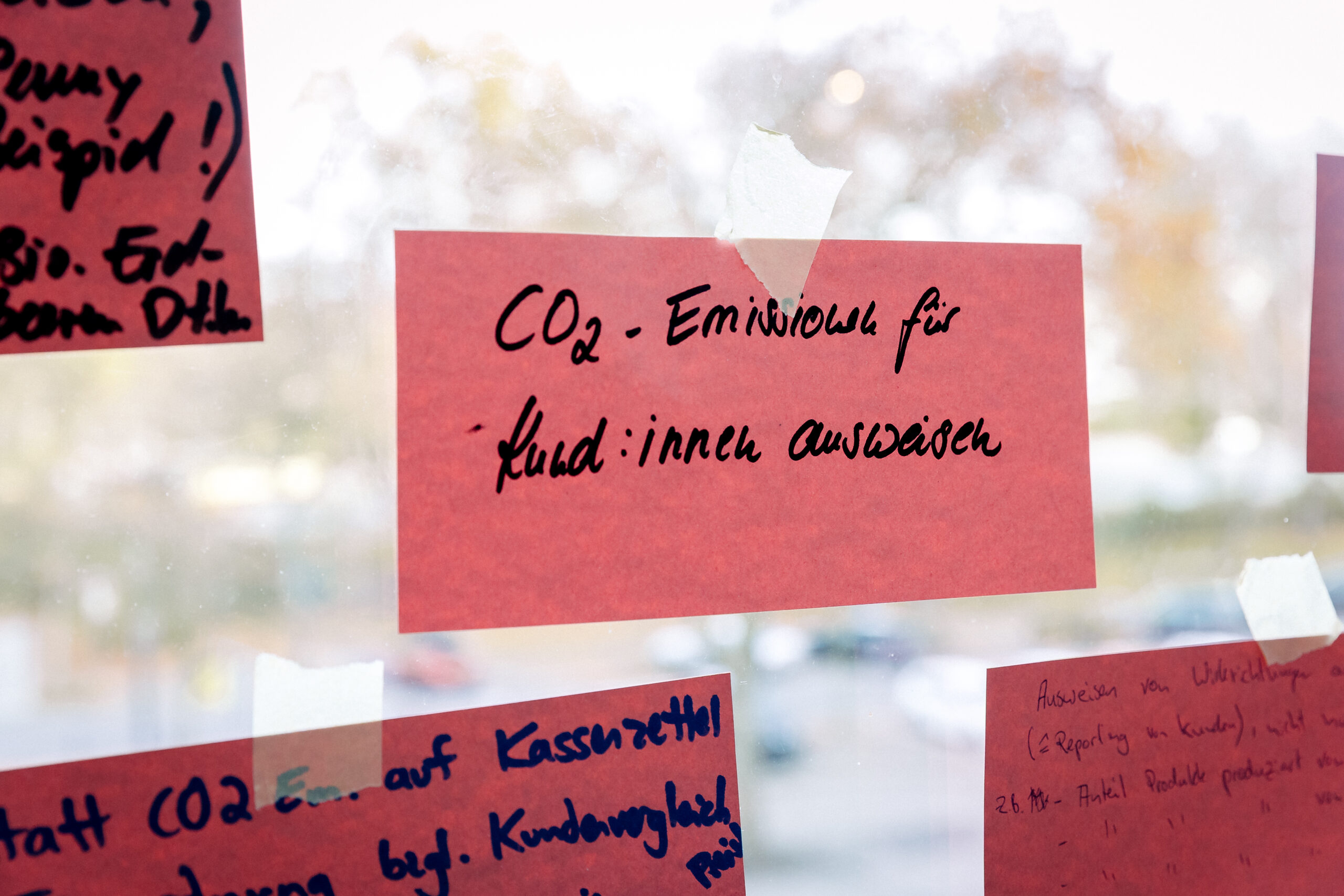 Moderationskarten aus einem Workshop zum Thema Klimaschutz
