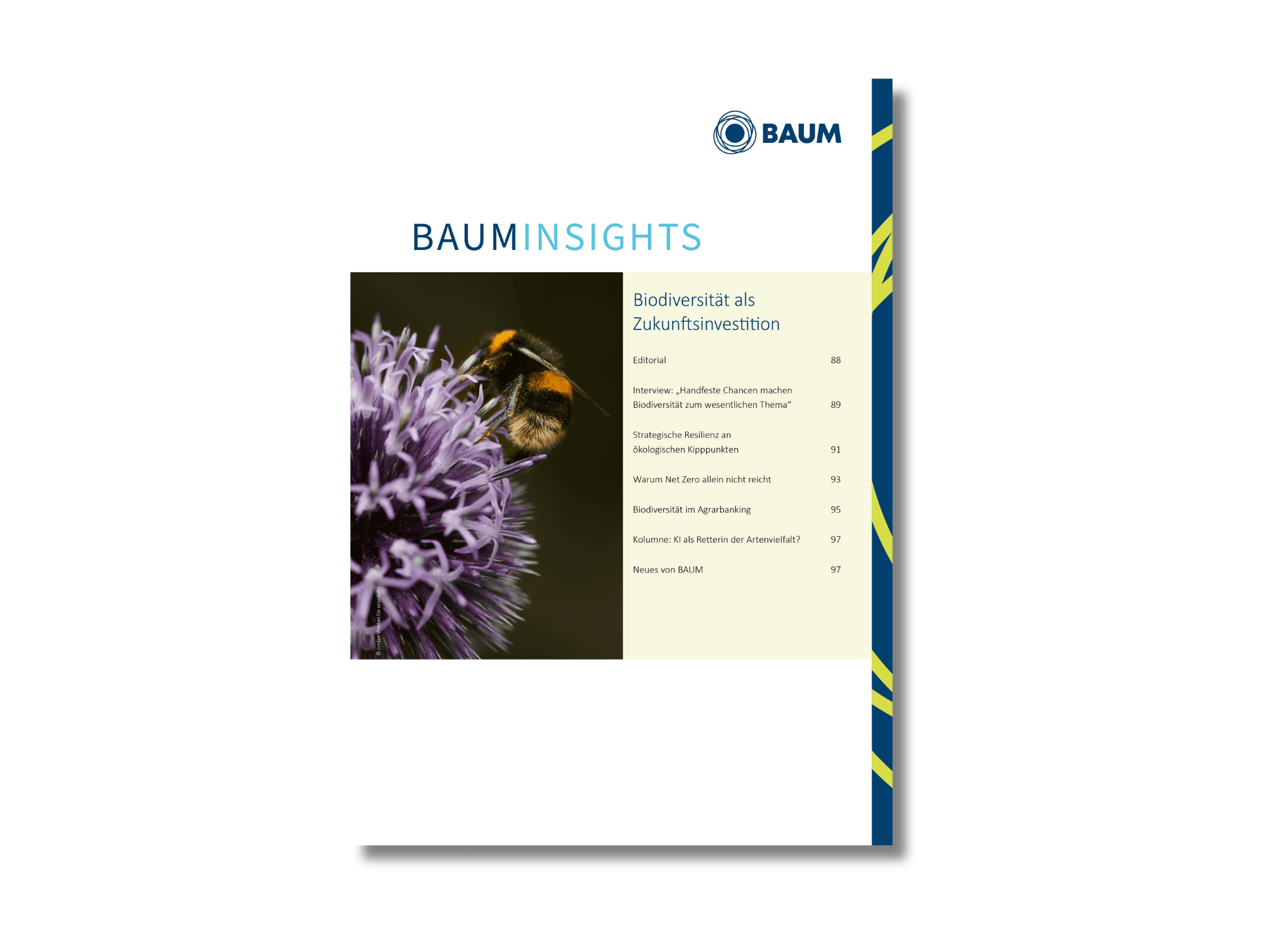 Cover von BAUM Insights 2/2026 mit dem Titel "Biodiversität als Zukunftsinvestition"