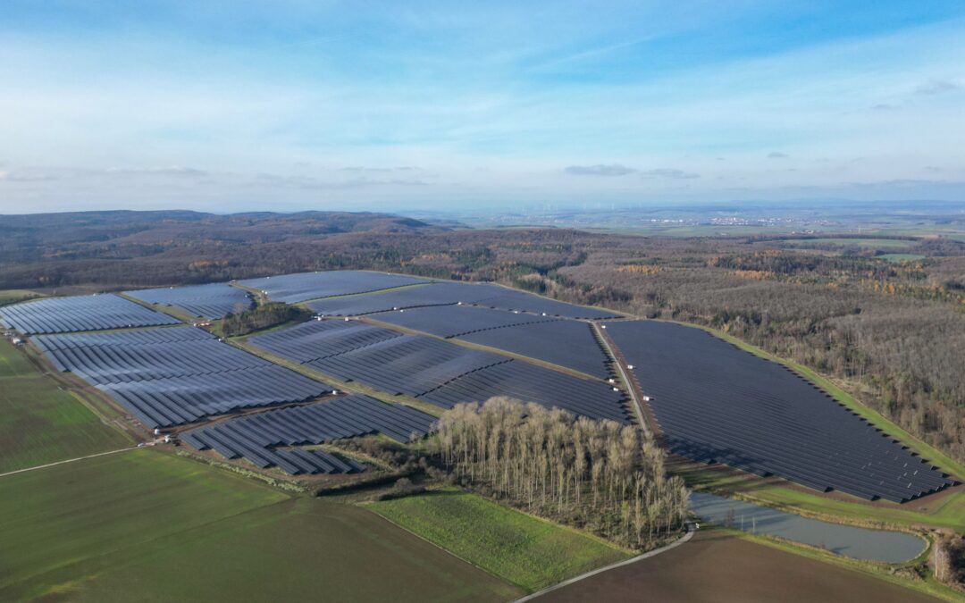 Warum Net Zero allein nicht reicht