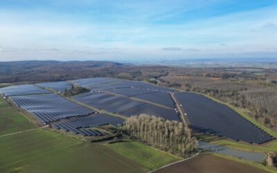 Warum Net Zero allein nicht reicht