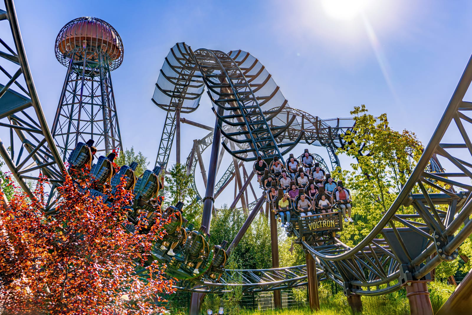 Pilze wachsen auf bemoostem Totholzstamm im Wald – Sinnbild für ökologisches Gleichgewicht, Biodiversität und die Verantwortung zum Schutz natürlicher Lebensräume