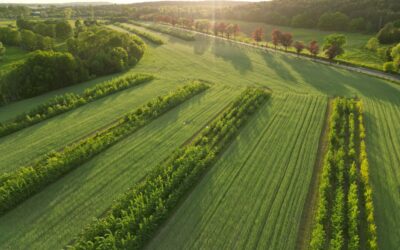 Biodiversität im Agrarbanking: Herausforderungen und Chancen der ESG-Risiken