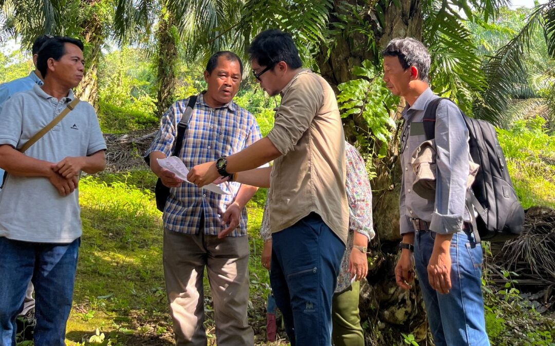 Wissen schafft Wirkung: So entsteht nachhaltiger Klimaschutz